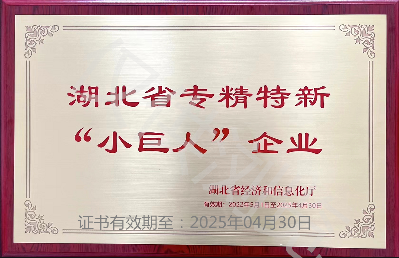 湖北省專精特新“小巨人”企業